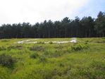 056-7.JPG